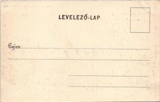 1904 Budapest II. Ferenc József Internátus. Divald Károly 218