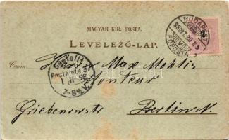 1898 Budapest V. Országház, Parlament, gőzhajó. Art Nouveau, floral, litho (EK)