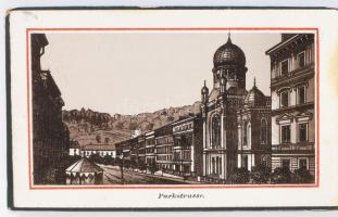 ca 1880 Album von Carlsbad 12 litho képet tartalmazó leporelló kartonált papírkötésben 12x7 cm

ca...