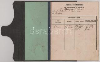 1864-1868 Pesti Egyetemi jogi karának indexe, Id. kislődi Hollán Sándor (1846-1919) későbbi politiku...