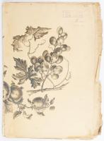 cca 1880-1900 Gyümölcsöket, virágokat ábrázoló nagyméretű nyomatok, 3 db, "A. Wenger, Hanley, E...