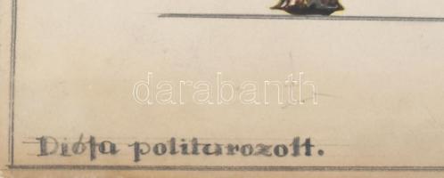 cca 1900-1940 Historizáló diófa bútor tervrajza. Akvarell, ceruza, karton, m 1:10, jelzés nélkül, je...