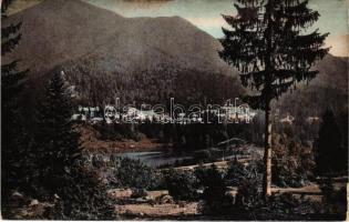 1913 Tusnádfürdő, Baile Tusnad; látkép. Brunner Lajos kiadása / view (Rb)