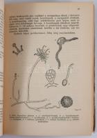 Soós István: Borbakterológia. Bp.,én.,Szerzői, 204 p. Kiadói papírkötés, kopott, foltos borítóval