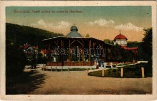 Bártfa, Bártfafürdő, Bardejovské Kúpele, Bardiov, Bardejov; Fedett sétány az Orvos és Főforrással. K...