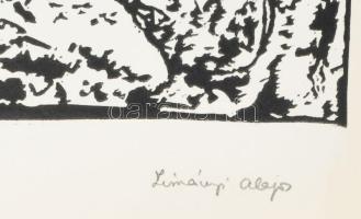 Zimányi Alajos (1944?-): Ős mag V. Fametszet, papír, jelzett. 41,5x22,5 cm