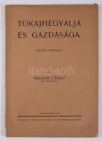 Molnár László: Tokajhegyalja és gazdasága. Doktori értekezés. Sárospatak, 1942., Kisfaludy László, 6...