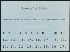 1947. augusztus 31-i szavazási űrlap, a kékcédulás választás nyomtatványa, kitöltetlen, 10,5×14 cm