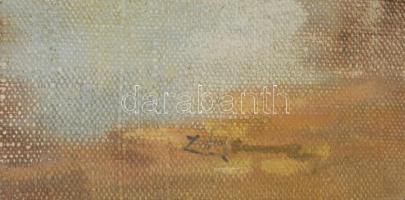 Olvashatatlan jelzéssel: Mosóasszonyok. Olaj, vászon. Hátoldalán Nádasi Pál festőművészeti cikkek 19...