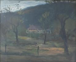 Gádor Emil (1911-1998): Kertek alján. Olaj, vászon, jelezve jobbra lent. Üvegezett, dekoratív, sérül...