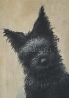 Parányi Pabar István (1903-1979): Kutya játéklabdával. Olaj, vászon. Jelezve jobbra lent. 50x40 cm. ...