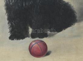 Parányi Pabar István (1903-1979): Kutya játéklabdával. Olaj, vászon. Jelezve jobbra lent. 50x40 cm. ...