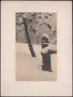 cca 1930 Havas táj részlete, művészfotó kartonon, jelzés nélkül, a hátoldalán feliratozással, 23x14 ...