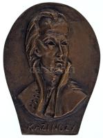 1970 k. "Kazinczy" egyoldalas bronz plakett. Szign: Cseh (114x84mm) T:AU