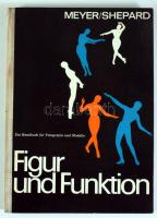Lenore Meyer - Harriet Shepard: Figur und Funktion. Ein Handbuch für Fotografen und Modelle. Überset...