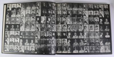 Ceglowska, Teresa; Dalek Jerzy: Auschwitz-Birkenau. Oswiecim - Brzezinka,1982, Panstwowe Muzeum. Len...