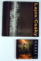 2007 Csáky Lajos: Műtárgyjegyzék. Kecskemét, 2007, Print 2000 Nyomda Kft. Gazdag képanyaggal illuszt...