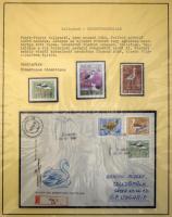 Főleg modern magyar gyűjtemény 1955-1996, gyengébb hasonló időszaki bélyegzett anyag, hozzá állat, v...