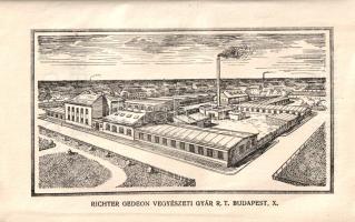 Orvosi zsebkönyv 1939.
Budapest, 1939. Richter Gedeon Vegyészeti Gyár Rt. (Posner Grafikai Műintéze...