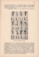 Gruber Ferenc: 
A gyep hasznos növényei. 336 nagyrészt eredeti képpel. (Dedikált.)
Mosonmagyaróvár...
