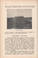 Gruber Ferenc: 
A gyep hasznos növényei. 336 nagyrészt eredeti képpel. (Dedikált.)
Mosonmagyaróvár...