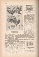 Gruber Ferenc: 
A gyep hasznos növényei. 336 nagyrészt eredeti képpel. (Dedikált.)
Mosonmagyaróvár...