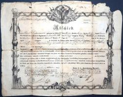 Obsitlevél, 1859. - Német nyelvű leszerelő levél a krakkói székhelyű császári-királyi Prinz Wilhelm ...