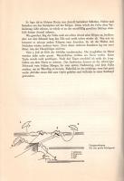 Herdemerten, Kurt: 
Jakunguaq. Das Grönlandbuch der Hermann-Göring-Stiftung.
Braunschweig, (1939)....