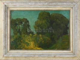 Maticska jelzéssel: Napfényes táj. Olaj, karton. Kopott fakeretben. 33x47 cm