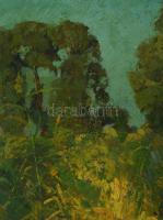 Maticska jelzéssel: Napfényes táj. Olaj, karton. Kopott fakeretben. 33x47 cm