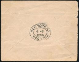 1894 Ajánlott levél 2 x 10kr bérmentesítéssel az USA-ba küldve, "FELSŐ-SZVIDNIK" - "N...