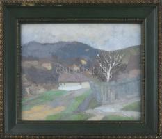 Nuridsány Zoltán (1925-1974): Faluvége. Olaj, karton, jelezve jobbra lent. Dekoratív, üvegezett fake...