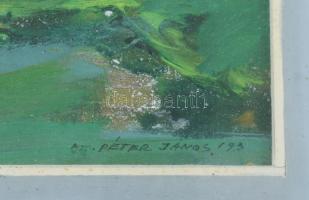 M. Péter János (1941-2009): Zöld táj (cím nélkül), 1993. Olaj, farost, jelzett, üvegezett fakeretben...