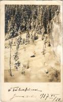 1917 Tátraszéplak, Tatranska Polianka, Westerheim (Magas-Tátra, Vysoké Tatry); Friss hó. Dr. Guhr fe...