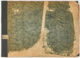 1920 Magyarország gazdasági térképekben. The Economies of Hungary in Maps. La Hongrie économique en ...