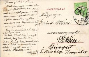 1913 Brassó, Kronstadt, Brasov; Postarét / Postwiese/ Livadia postei (Rb)