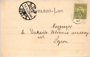 1906 Hercegszöllős, Hercegszőlős, Knezevi Vinogradi; Fő tér, üzlet. Neumann Jakab kiadása / main squ...