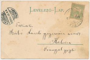 1905 Buziásfürdő, Baile Buzias; Szent Antal kút és tó részlet / fountain, lake (EB)