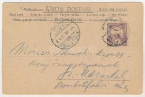 1901 Csíkszereda, Miercurea Ciuc; látkép a vasútról / view (vágott / cut)