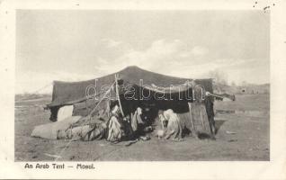 Mosul an Arab tent