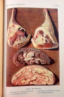 Zemplényi Szabó Antónia: Képes budapesti szakácskönyv. Sz. Hilaire Josefa, Kovács Irma, Dorn Anna, G...