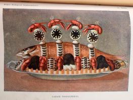 Zemplényi Szabó Antónia: Képes budapesti szakácskönyv. Sz. Hilaire Josefa, Kovács Irma, Dorn Anna, G...