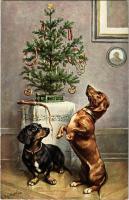 Dachshund dogs with Christmas tree. T.S.N. Serie 775. s: C. Reichert