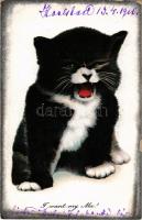 1910 "I want my Ma!" Cat (EK)