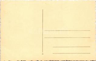 Vatra Dornei, Dornavátra, Bad Dorna-Watra (Bukovina, Bucovina, Bukowina); Vedere / general view. pho...