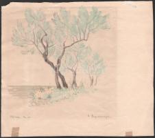 A Hagenmayer jelzéssel: Olivafák. Akvarell, papír, lapszéli sérülésekkel és paszpartuzás nyomaival, ...