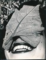 Stalter György (1956- ): Cím nélkül, hátulján pecséttel jelzett, vintage fotóművészeti alkotás. Zsel...