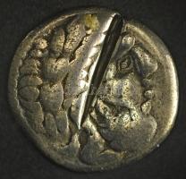 Kelták Kr.e. II. század k. Tetradrachma Ag (12,97g) T:VF bevágással, tisztított
Celts ~2nd century ...