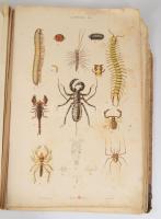 Hayek, von. Gustav: Grosser Handatlas der Naturgeschichte aller drei Reiche. Wien, Leipzig, 1885. Mo...