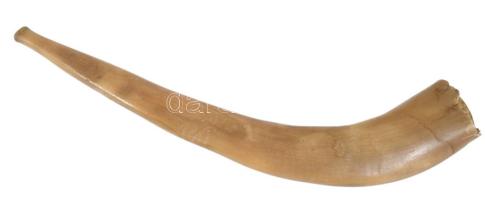 Sófár. cca 1900, faragott kosszarv, végén sérüléssel, h: 39 cm